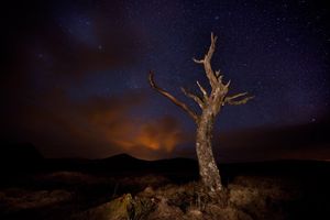 Image post by @Discovery on Twitter