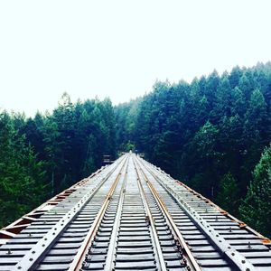 Image post by @sarahwells400mh on Instagram