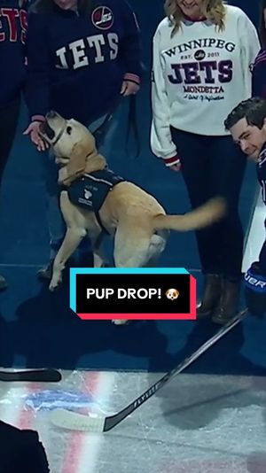 Video post by @nhljets on TikTok
