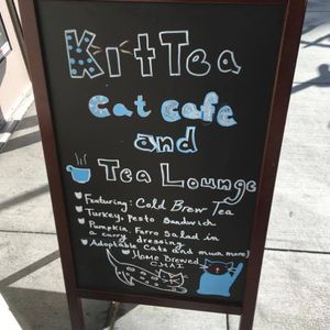 Image post by @nathangadrian on Instagram