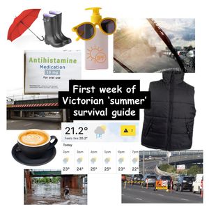Image post by @victoriapolice on Instagram