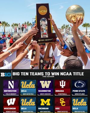 Image post by @b1gvolleyball on Instagram