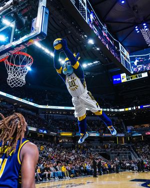 Image post by @pacersboomer on Instagram