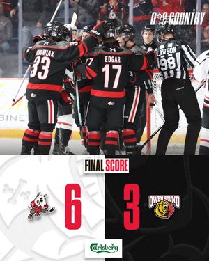 Image post by @ohlicedogs on Instagram