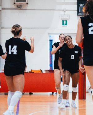 Image post by @beavervball on Instagram