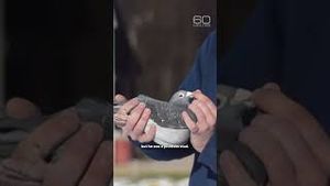 Video post by @60 Minutes on YouTube