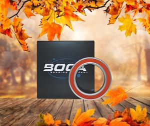 Image post by @bocabearings on Instagram