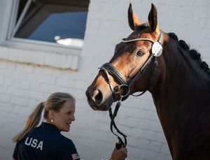 Image post by @usequestrian on Instagram
