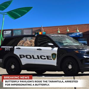 Image post by @butterflypavilion on Instagram