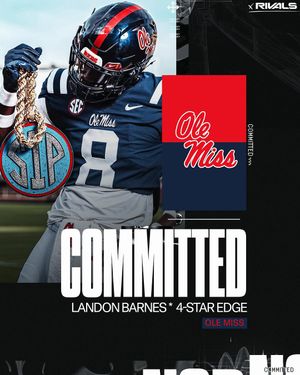 Image post by @samspiegelman_ on Instagram