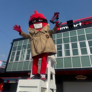 Image post by @thechicagodogs on Instagram