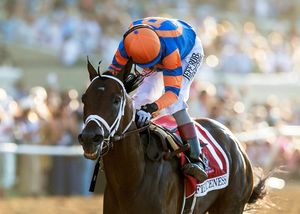 Image post by @thebloodhorse on Instagram