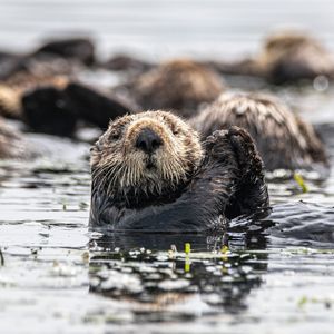 Image post by @bbcearth on Instagram