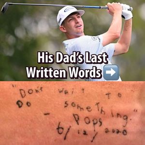 Image post by @whistlesports on Instagram