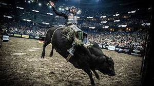 Video post by @pbr on YouTube