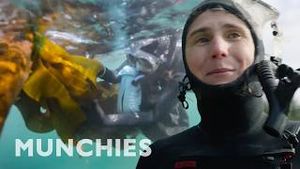 Video post by @munchies on YouTube