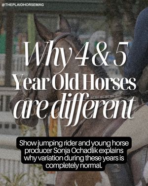 Image post by @theplaidhorsemag on Instagram