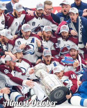 Image post by @mittsandchicks on Instagram