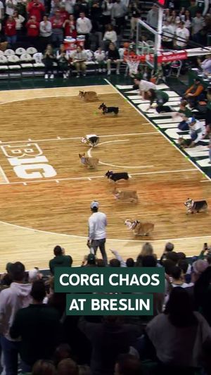 Video post by @MSUathletics on Facebook