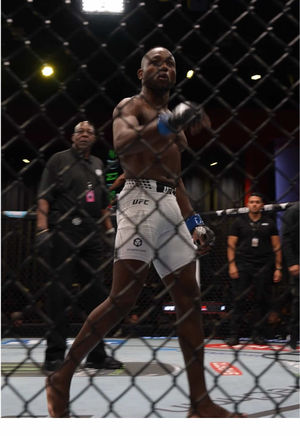 Video post by @ufc on TikTok