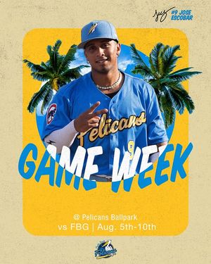 Image post by @pelicansbaseball on Instagram