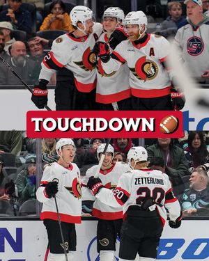 Image post by @senators on Instagram
