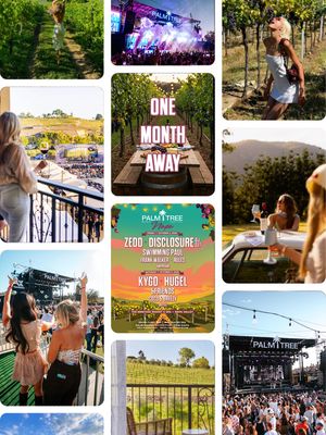 Image post by @palmtreefestival on Instagram