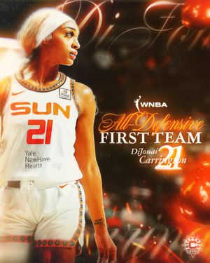 Image post by @ConnecticutSun on Twitter