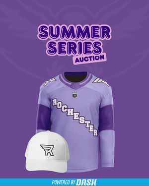 Image post by @rocknighthawks on Instagram