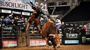 Video post by @pbr on YouTube