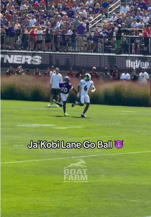 Video post by @goatfarmnetwork on TikTok