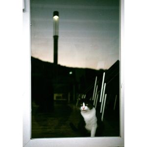 Image post by @kim_sola on Instagram