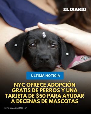 Image post by @eldiariony on Instagram