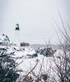 Image post by @themainemag on Instagram