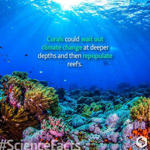 Image post by @prsciencetrust1 on Instagram