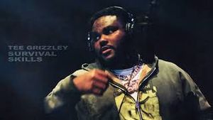 Video post by @teegrizzley on YouTube