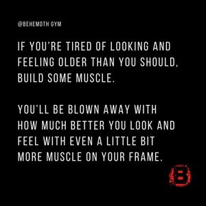 Image post by @behemothgym on Instagram