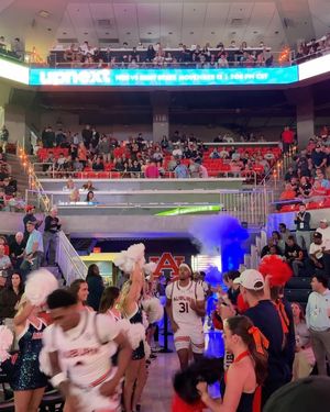 Image post by @auburntigers on Instagram