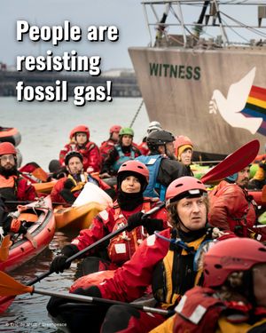 Image post by @greenpeace on Instagram