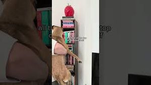 Video post by @claritin on YouTube