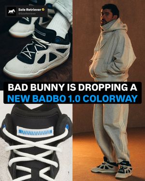 Image post by @soleretriever on Instagram