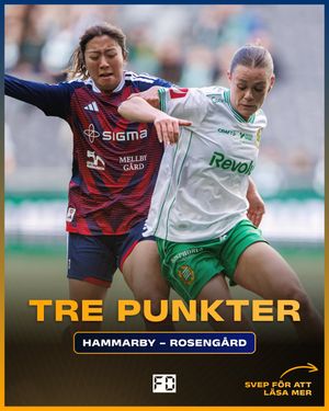 Image post by @fotbolldirekt on Instagram