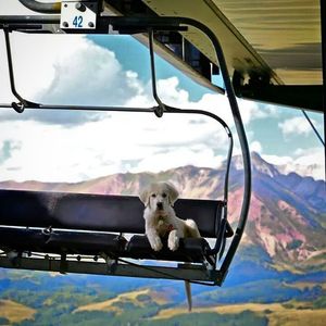 Image post by @skicrestedbutte on Instagram