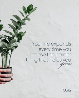 Image post by @oolalife on Instagram