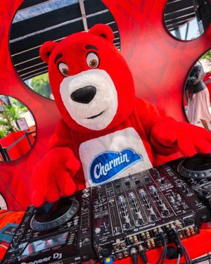 Image post by @charmin on Instagram