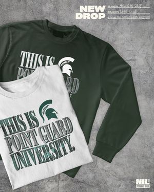 Image post by @msu.nil.store on Instagram