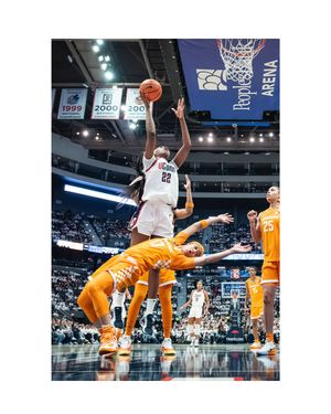 Image post by @domenicallegraphoto on Instagram