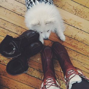 Image post by @ugg on Instagram