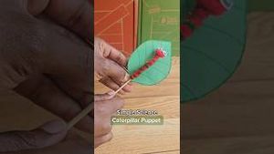 Video post by @kiwico on YouTube