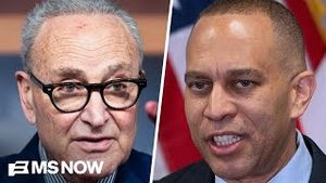 Video post by @msnbc on YouTube